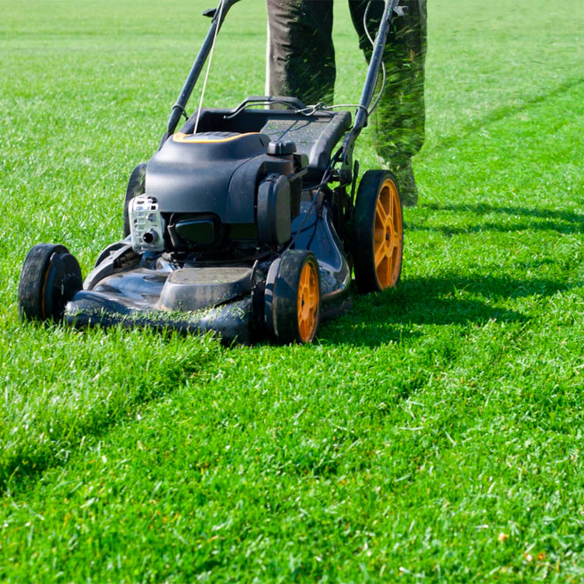 Person mowing a lawn with a gas-powered mower, highlighting environmental impact and sustainable lawn care options.