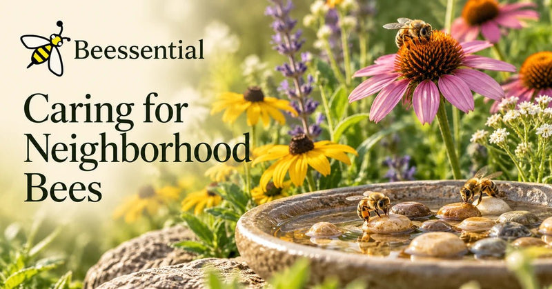 Caring for Your Neighborhood Bees