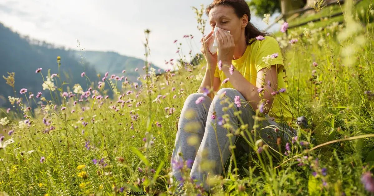 Honey and Allergy Relief: Do These Two  Go Together? - Beessential