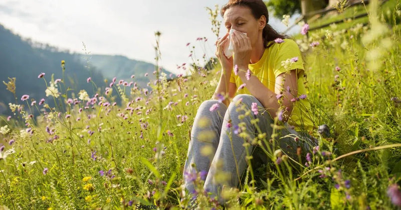 Honey and Allergy Relief: Do These Two  Go Together? - Beessential