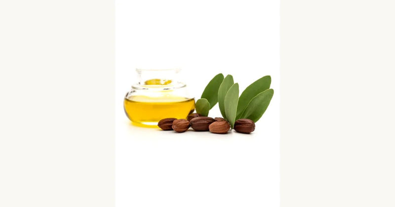 Jojoba Oil: Powerful Skin and Hair Benefits for All Skin Types