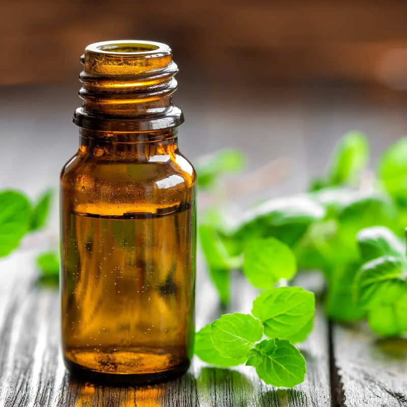 Peppermint Skin Care, Body Care & Lip Balm