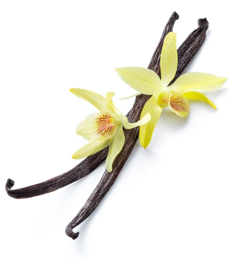The Warm & Comforting Essence of Vanilla
