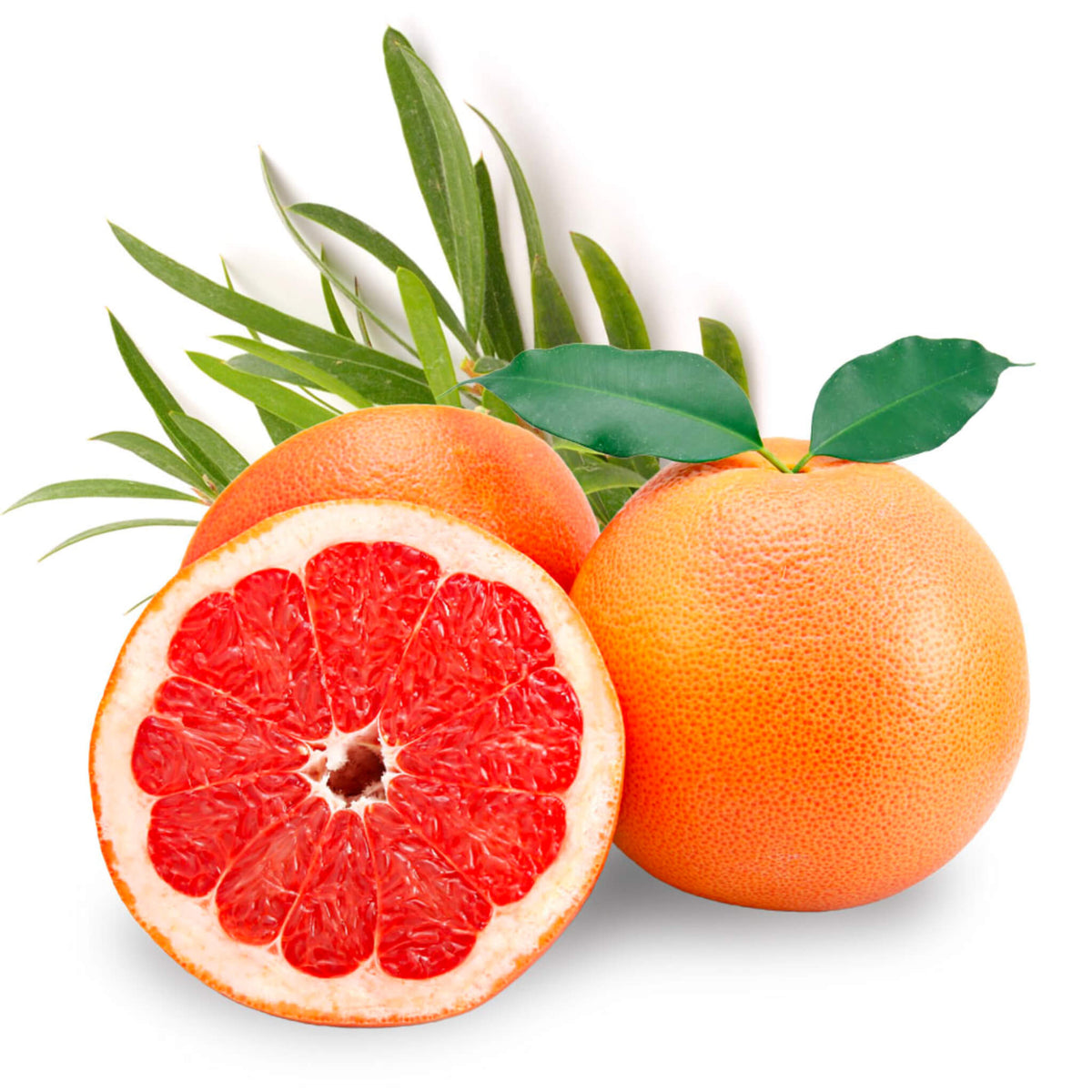 Natural grapefruit and rosemary background for Beessential moisturizer - Highlighting pure essential oil ingredients.