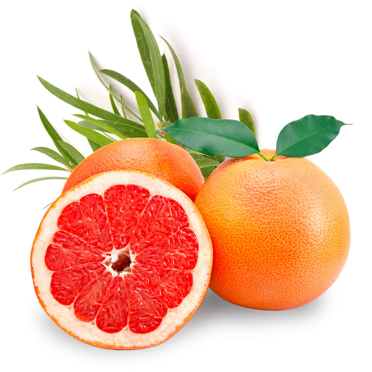 Beessential Grapefruit Rosemary Moisturizer for Dry Skin - Beessential