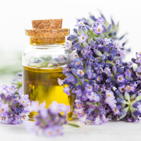 Lavender’s natural aroma helps relax your mind and body during your shower.