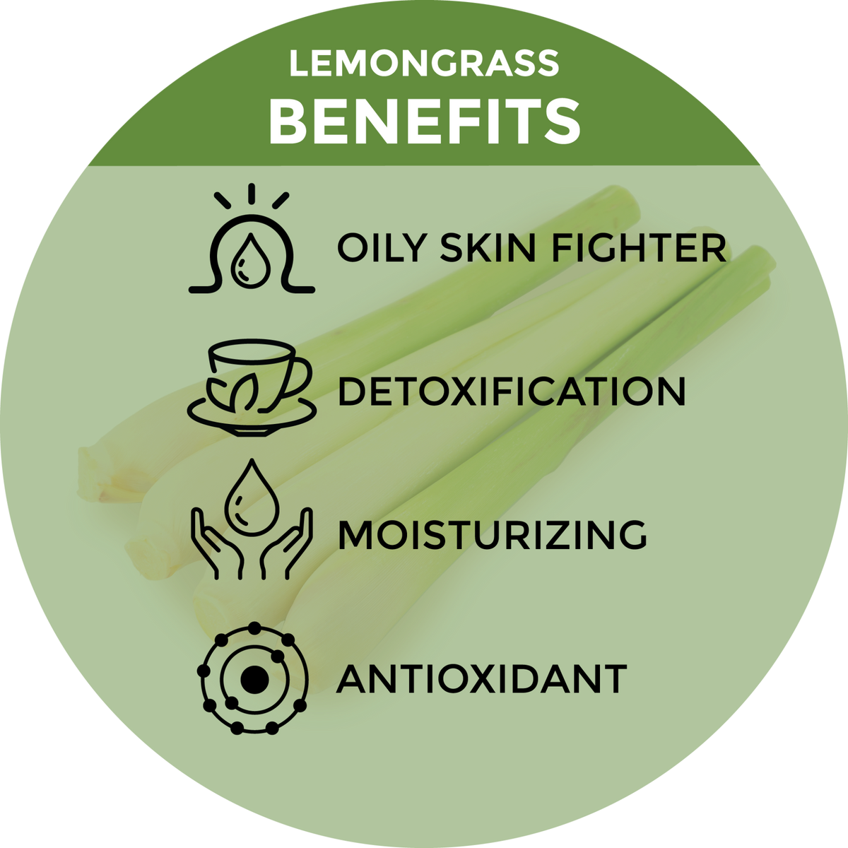Lemongrass Body Wash formulated with natural aloe vera and coconut oil to keep skin moisturized.