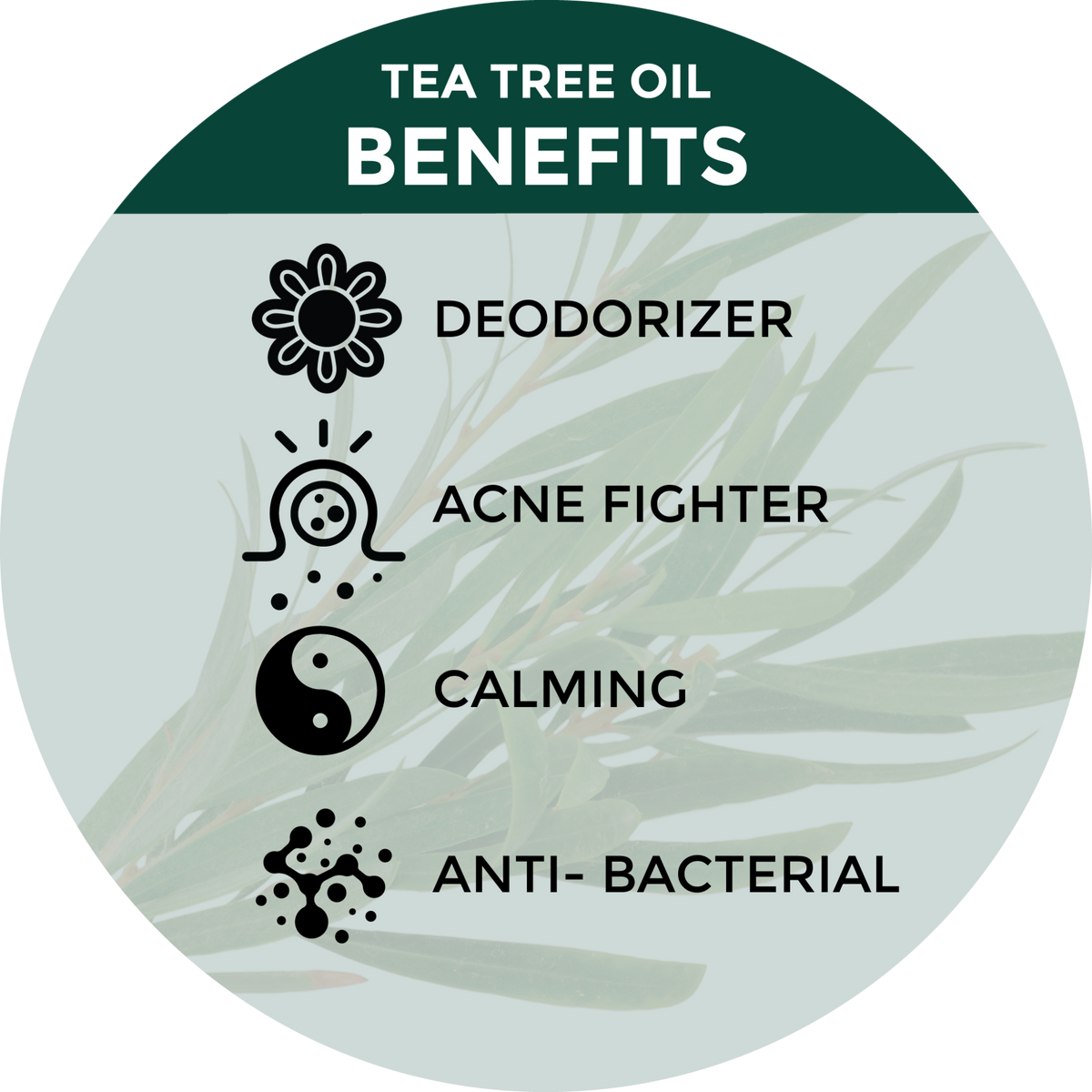 Beessential Tea Tree Oil Foaming Hand Soap, offering a gentle and aromatic hand wash.